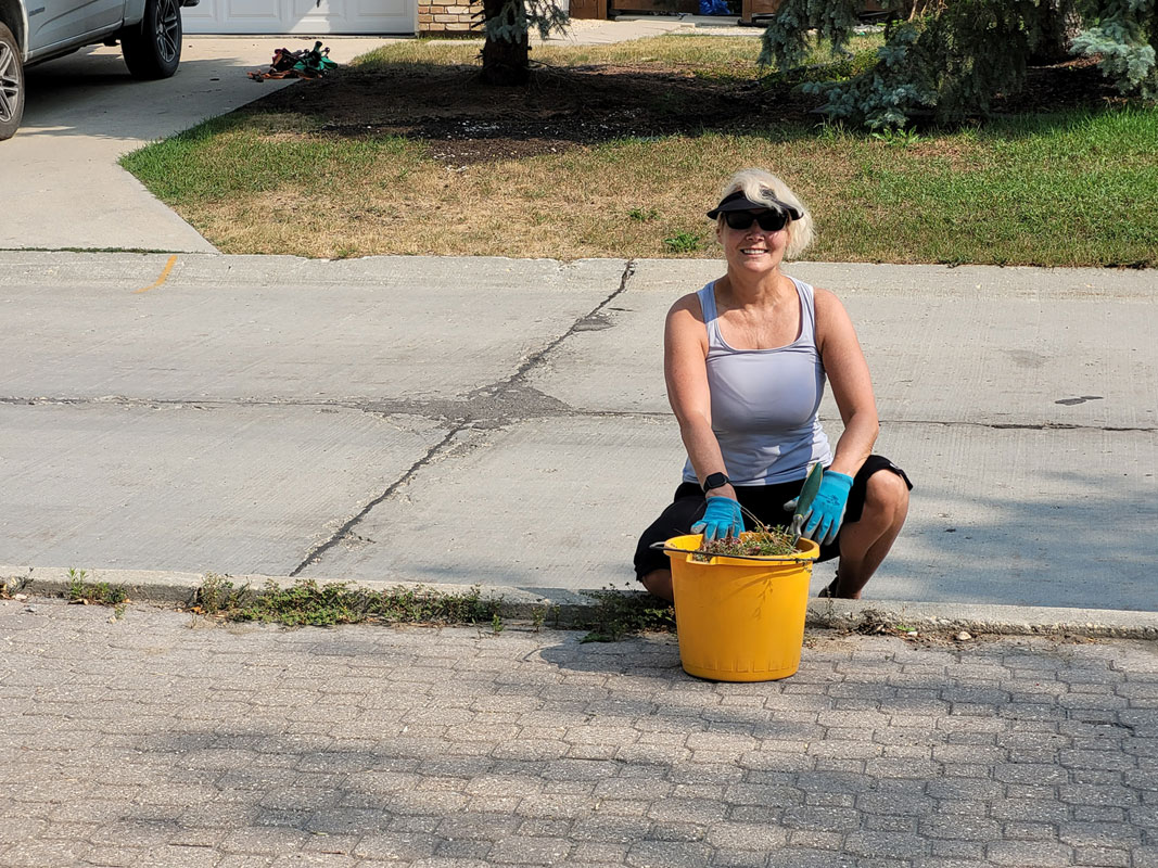 Boulevard Clean-up - Image 4