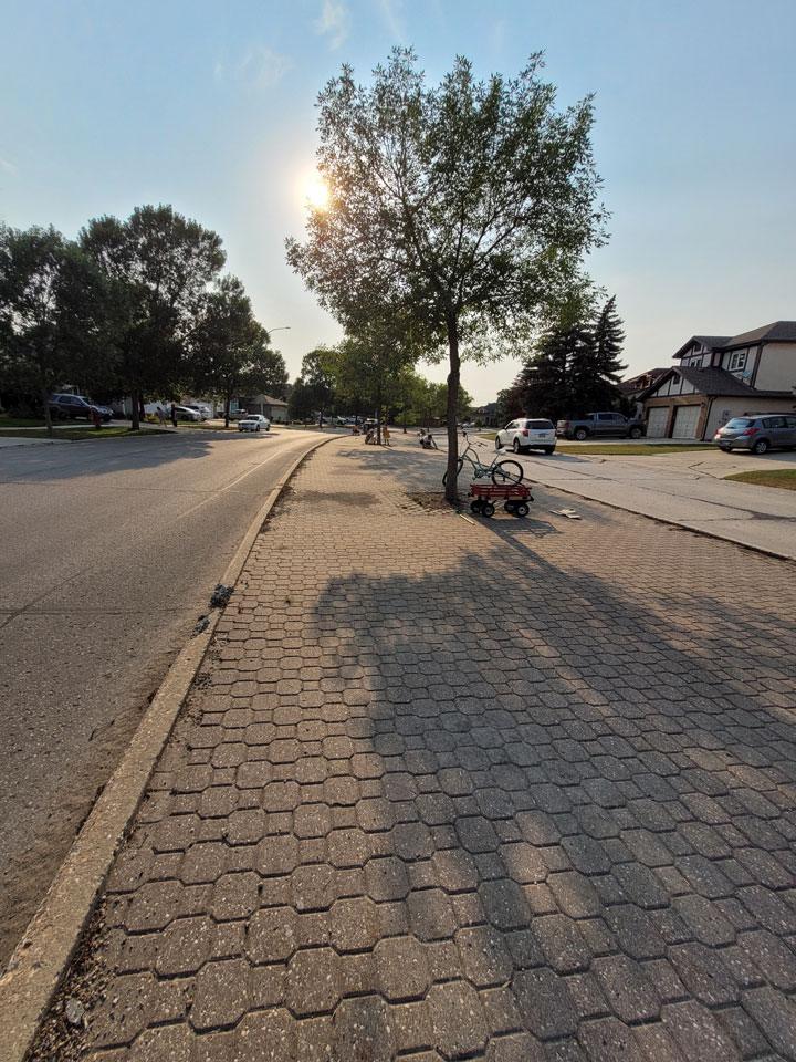 Boulevard Clean-up - Image 6