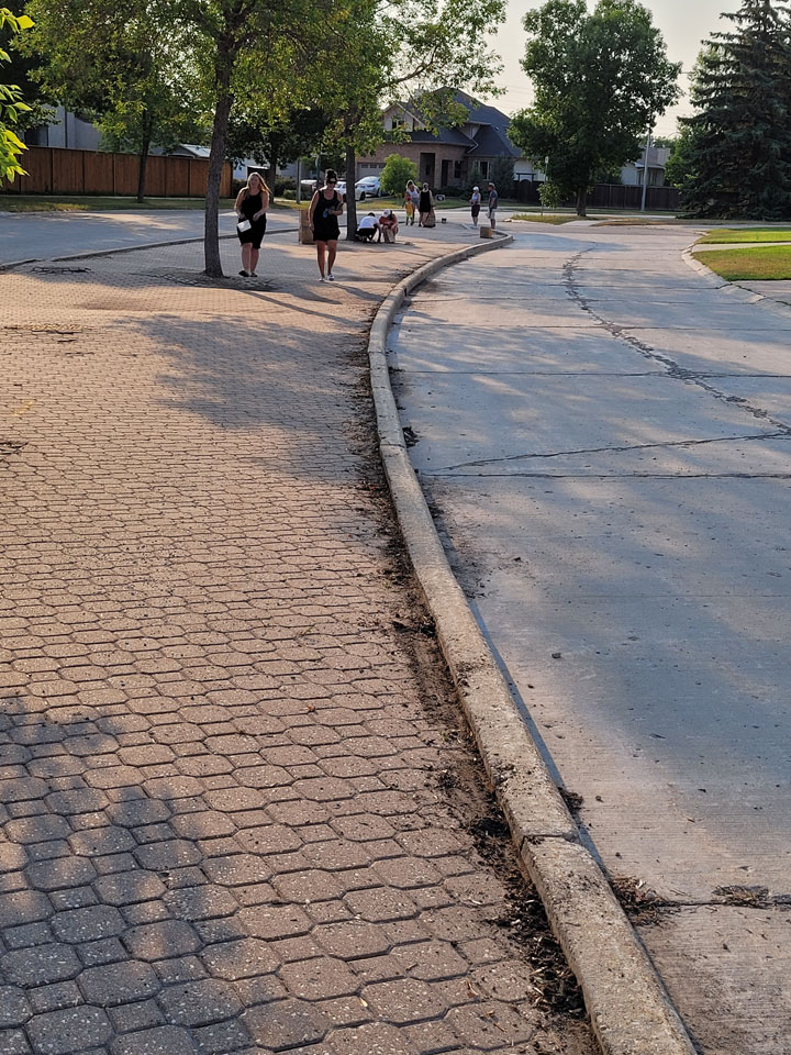 Boulevard Clean-up - Image 8