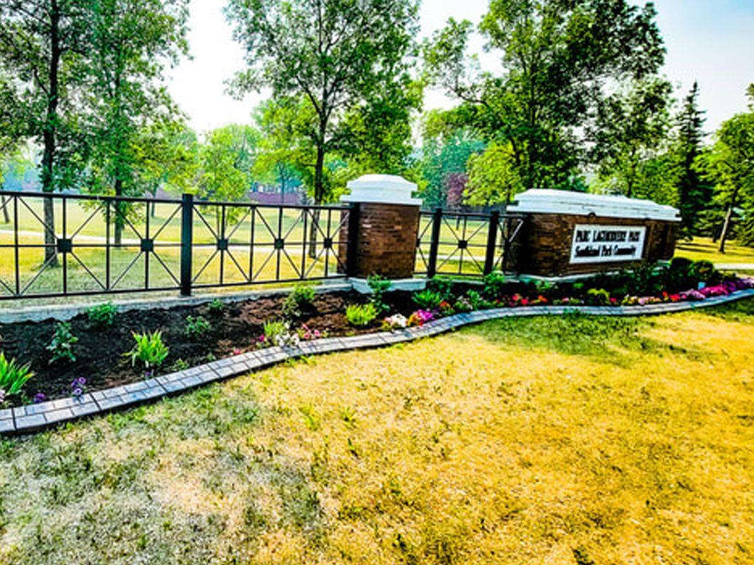 Front Entrance Sign Enhancement - Image 13