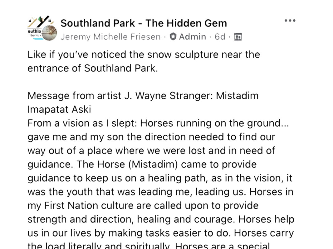 Ice Sculpture - Image 21