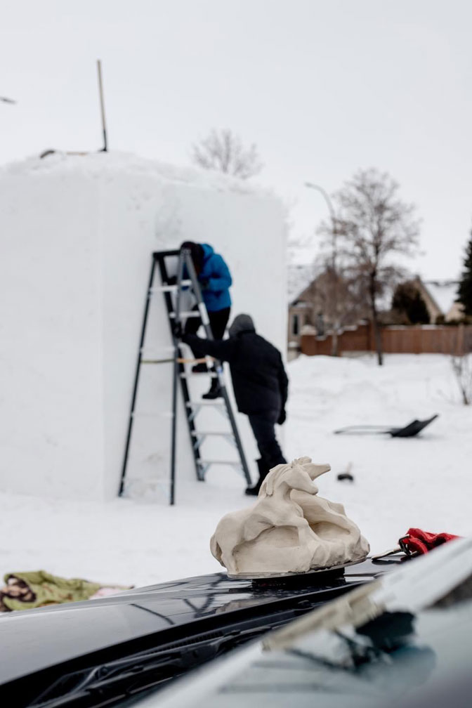 Ice Sculpture - Image 6
