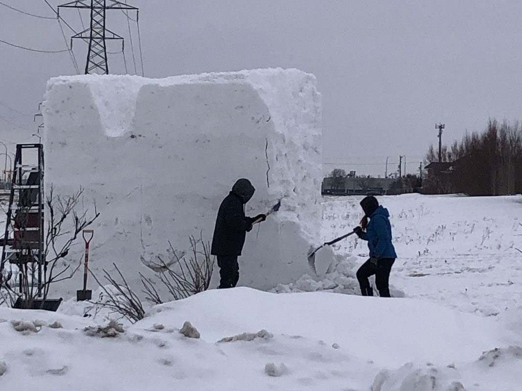 Ice Sculpture - Image 9