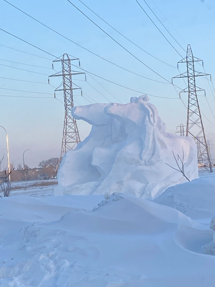 Ice Sculpture - Image 10