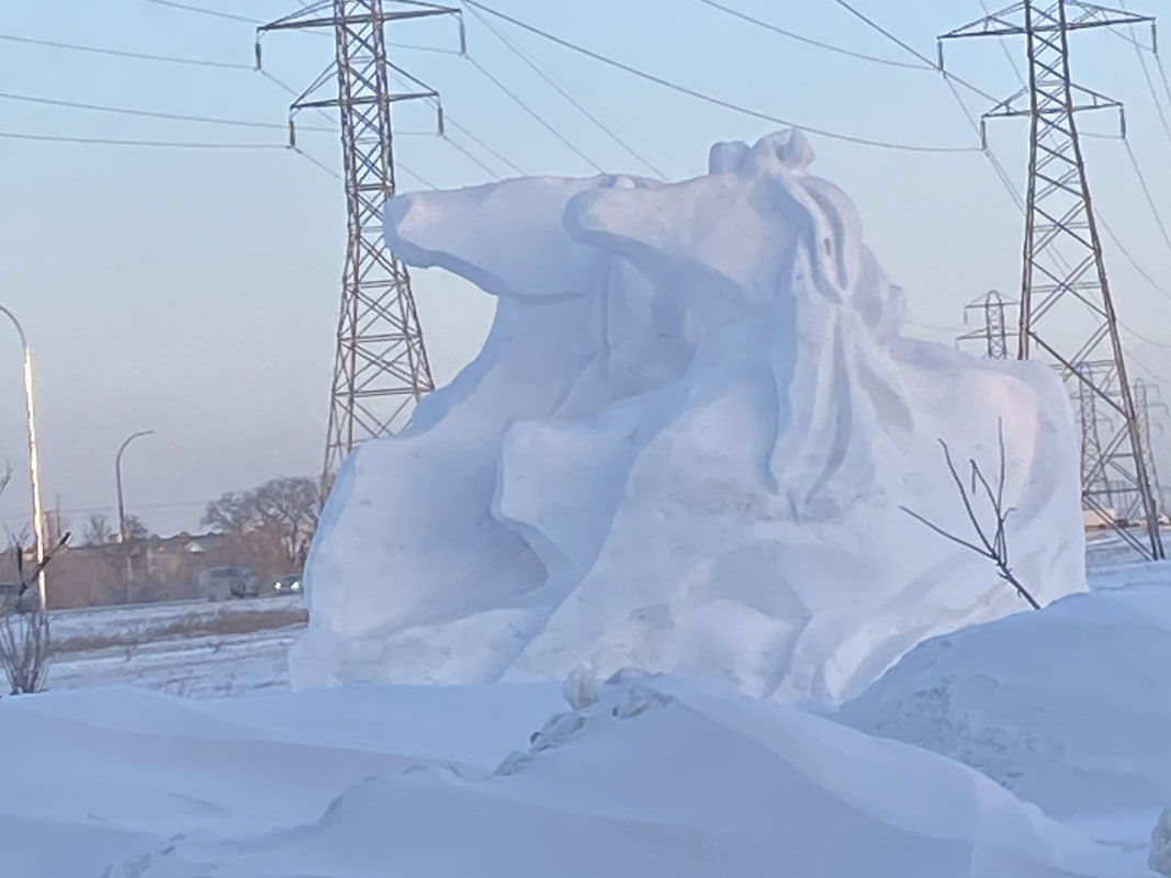 Ice Sculpture - Image 11