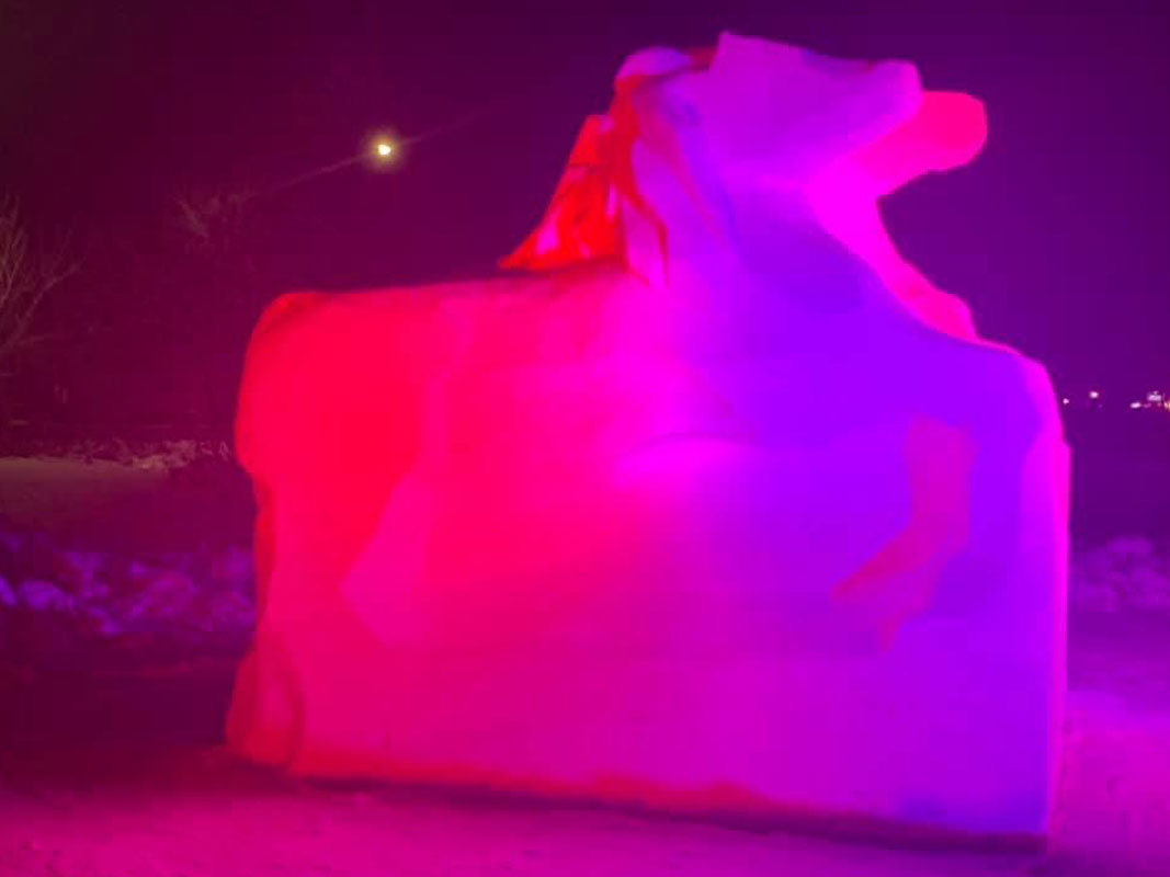 Ice Sculpture - Image 15