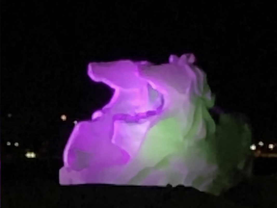 Ice Sculpture - Image 19