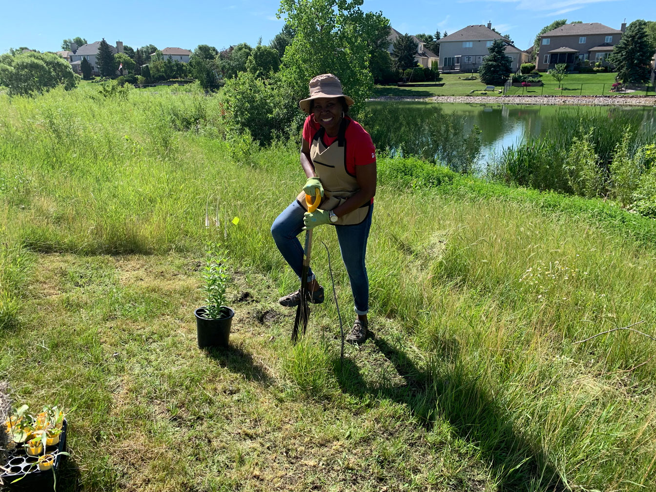 Wild Flowers Planting - Image 4