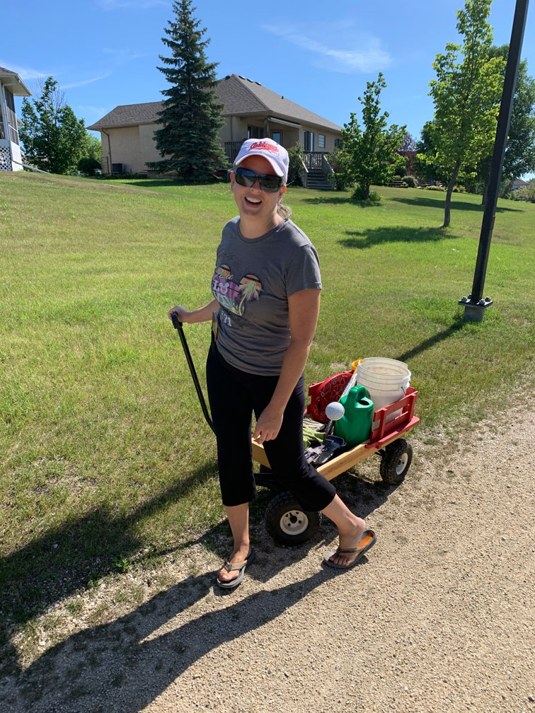 Wild Flowers Planting - Image 6