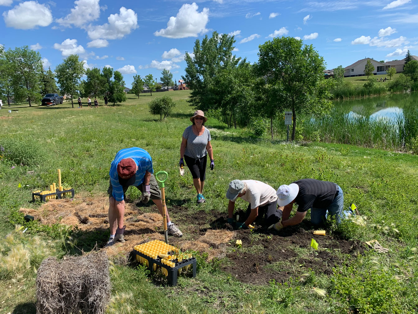 Wild Flowers Planting - Image 12