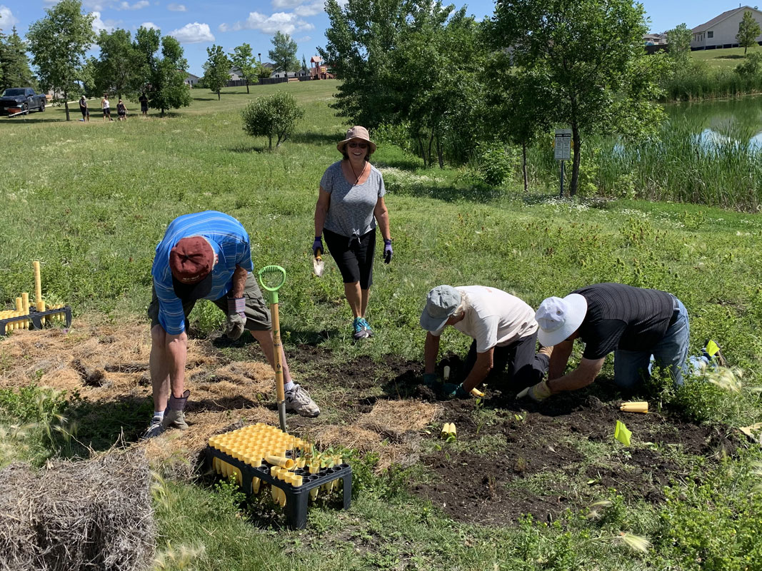 Wild Flowers Planting - Image 13