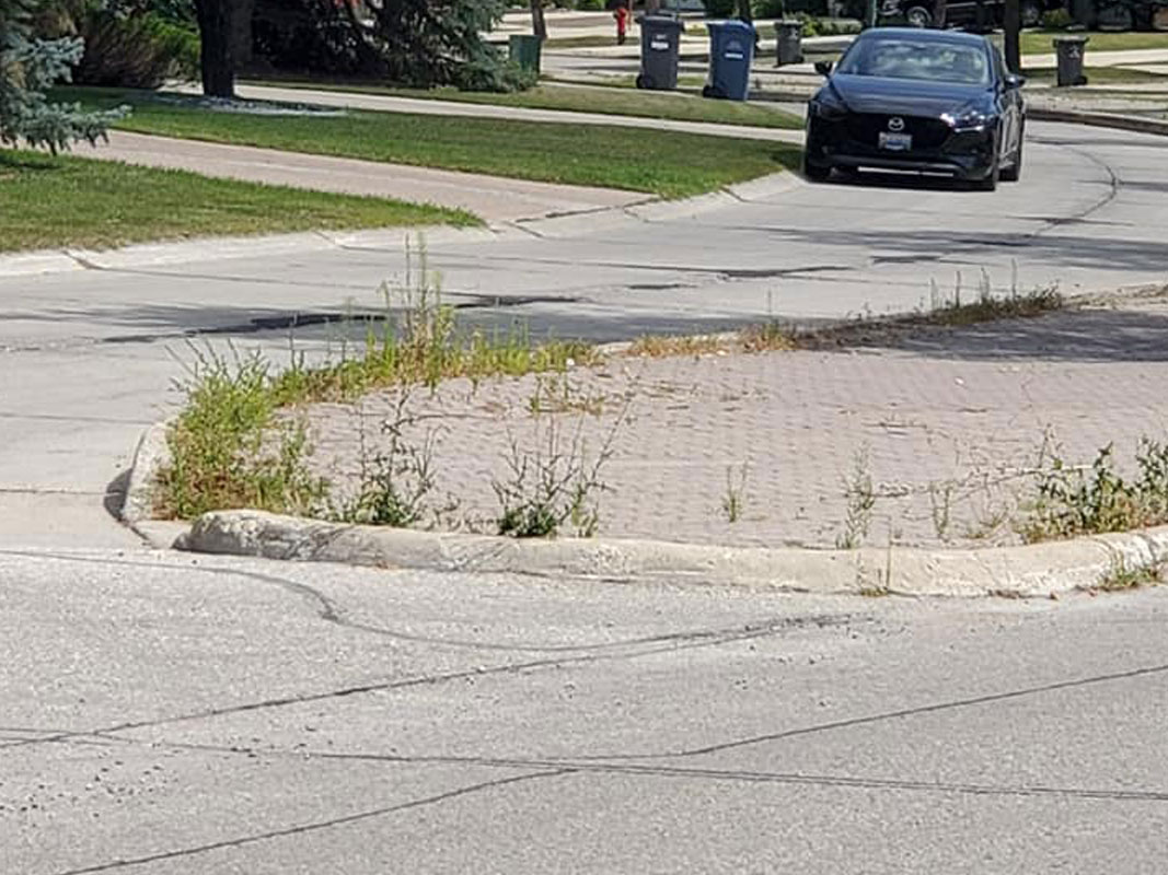 Boulevard Clean-Up - Image 5