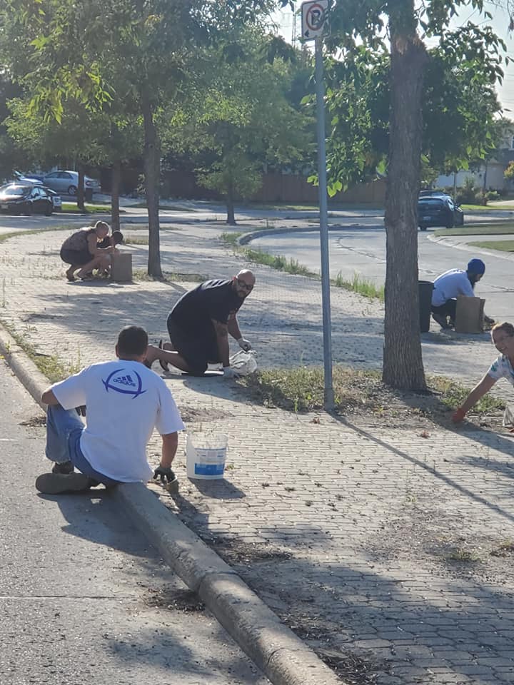 Boulevard Clean-Up - Image 6