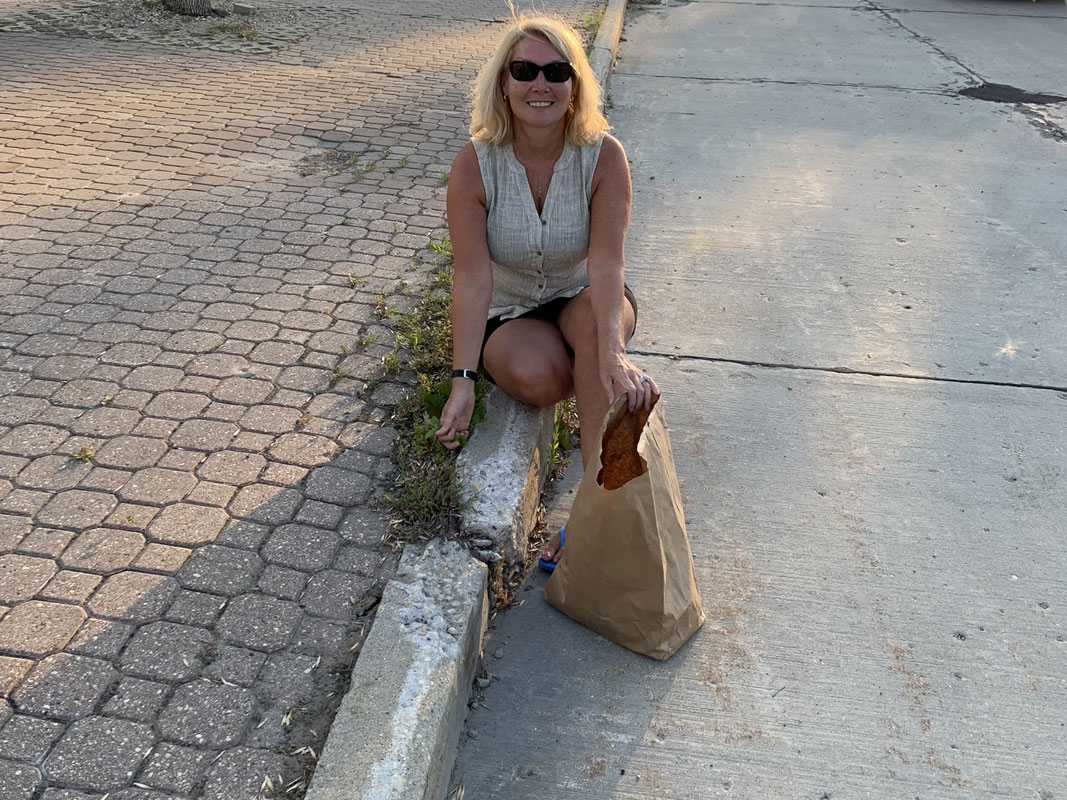 Boulevard Clean-Up - Image 17