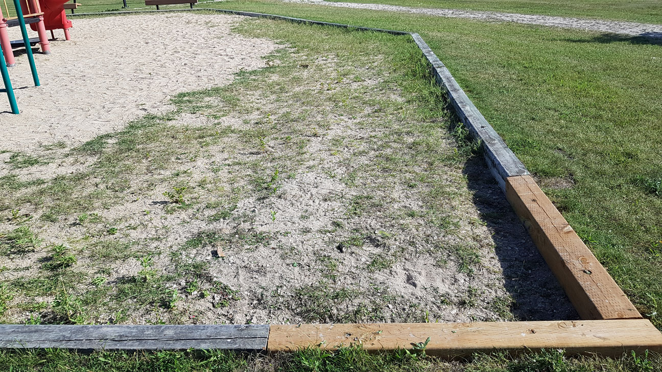 Playground Clean-Up - Image 2