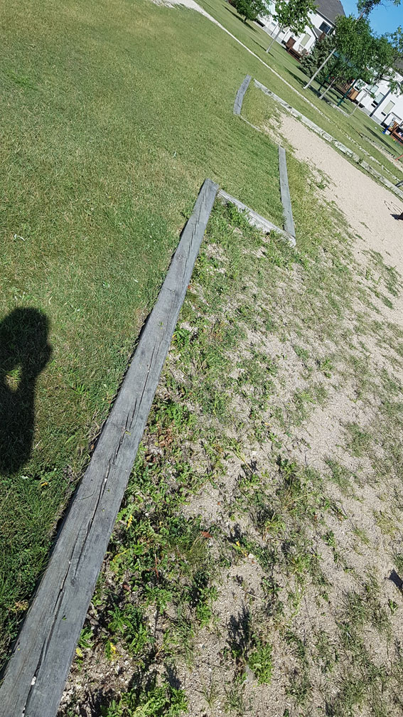 Playground Clean-Up - Image 4