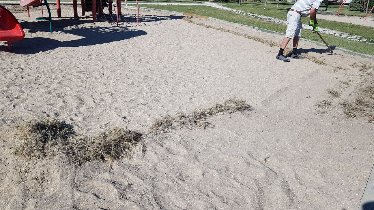 Playground Clean-Up - Image 10