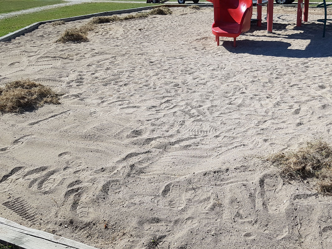 Playground Clean-Up - Image 13