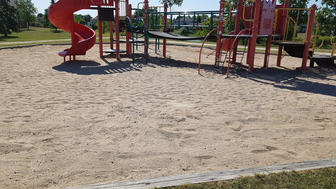 Playground Clean-Up - Image 16